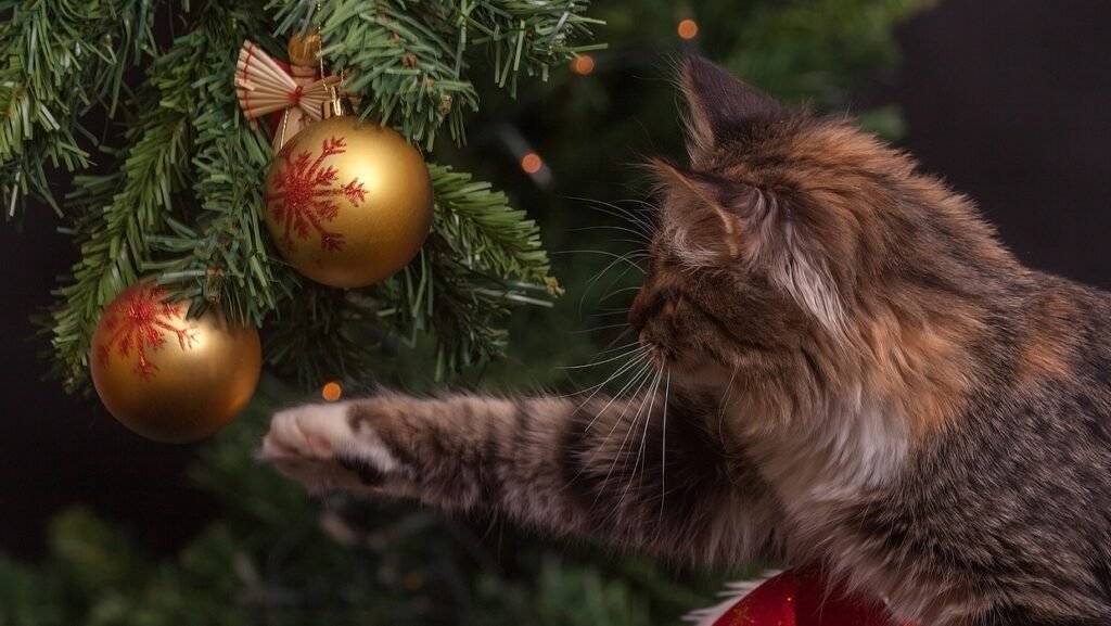 cat, christmas tree, ornaments