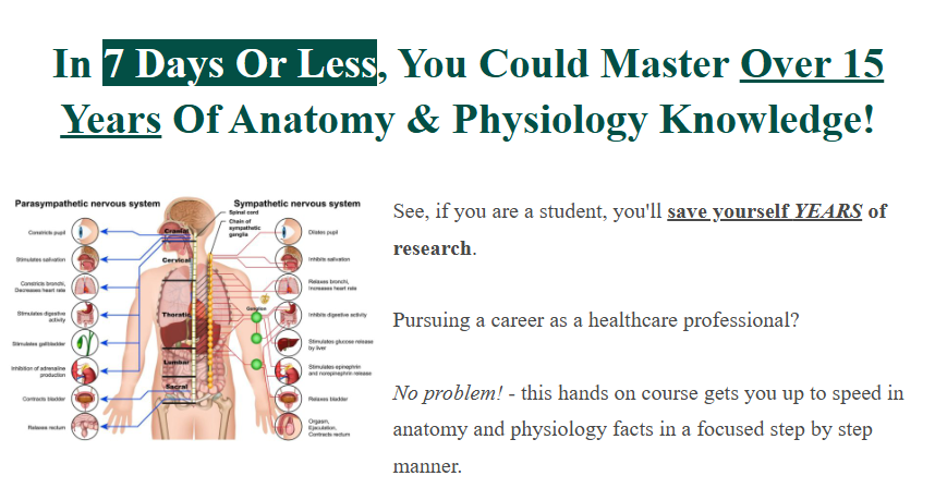 Human Physlogy