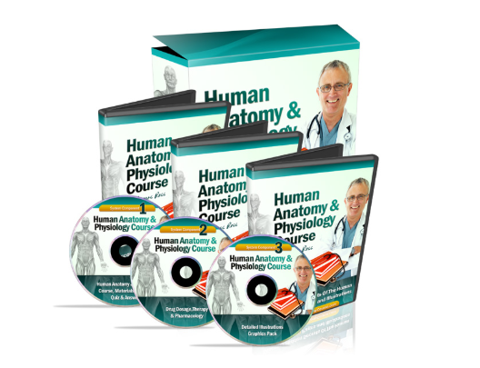 Human Physlogy