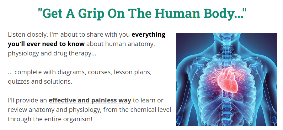 Human Physlogy