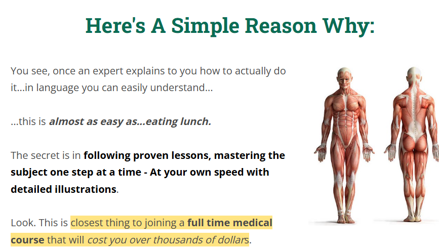 Human Physlogy