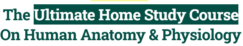 Human Physlogy