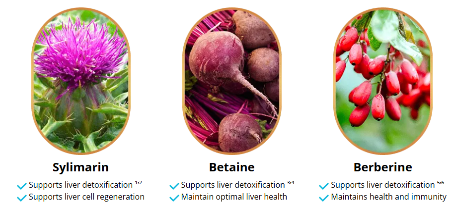 Liv Pure Dietary Supplement USA?