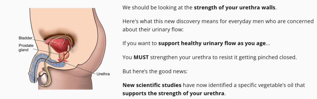 Titan Flow Prostate